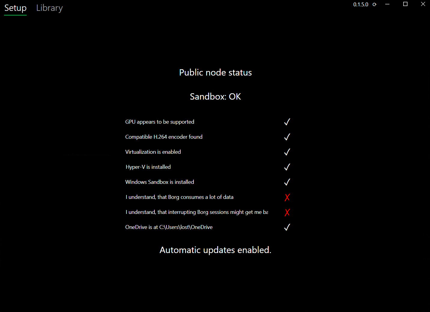 Borg node Setup page screenshot